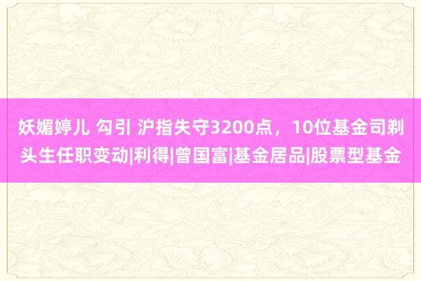 妖媚婷儿 勾引 沪指失守3200点，10位基金司剃头生任职变动|利得|曾国富|基金居品|股票型基金