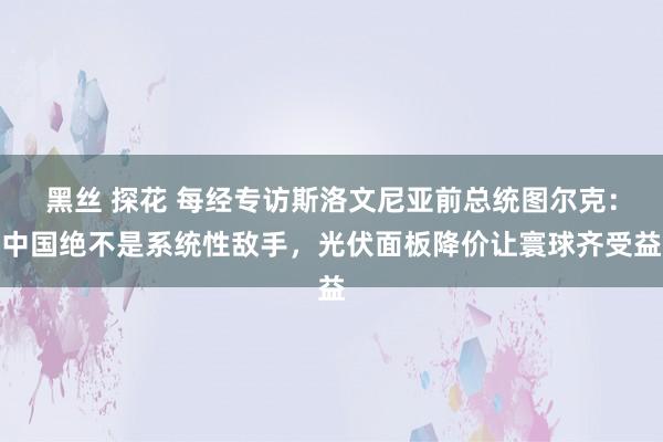 黑丝 探花 每经专访斯洛文尼亚前总统图尔克：中国绝不是系统性敌手，光伏面板降价让寰球齐受益