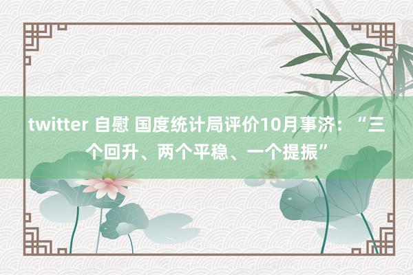 twitter 自慰 国度统计局评价10月事济：“三个回升、两个平稳、一个提振”