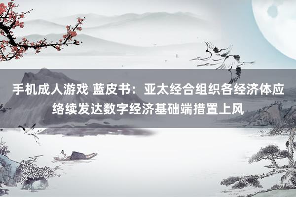 手机成人游戏 蓝皮书：亚太经合组织各经济体应络续发达数字经济基础端措置上风