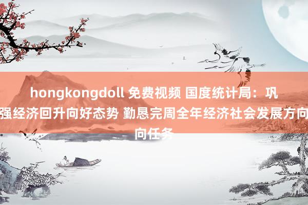 hongkongdoll 免费视频 国度统计局：巩固增强经济回升向好态势 勤恳完周全年经济社会发展方向任务